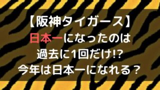 阪神の日本一は1回だけ?いつ頃でその時のメンバーは?