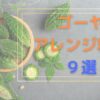 ゴーヤのアレンジ料理！簡単で30分以内に作れる９つを沖縄県民が紹介！